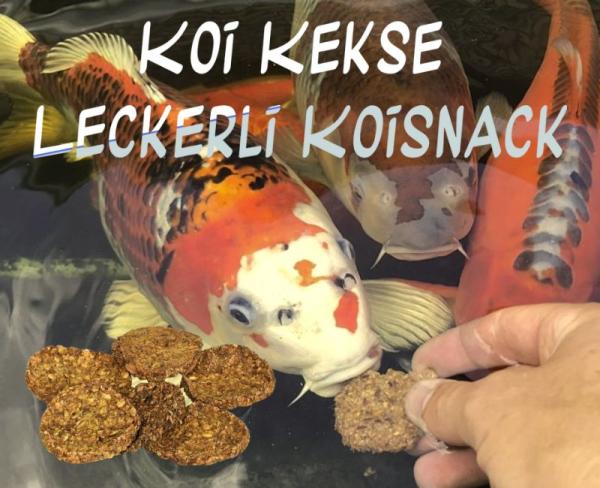 Koi Kekse Leckerli Koisnack